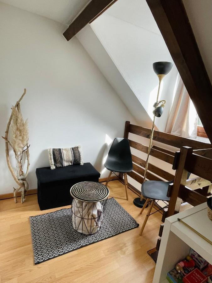Duplex Du Pailhet, T3 Neuf, Vue Montagne, Parking, Navette Et 2 Velos A Disposition Gratuitement Bagnères-de-Luchon 外观 照片
