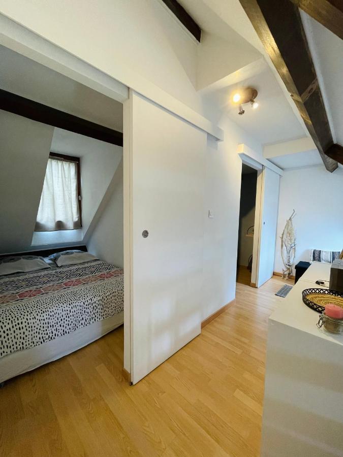 Duplex Du Pailhet, T3 Neuf, Vue Montagne, Parking, Navette Et 2 Velos A Disposition Gratuitement Bagnères-de-Luchon 外观 照片